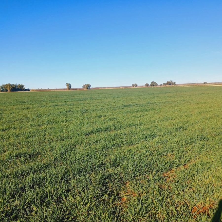  Bedroom Property for Sale in Barkly West Rural Northern Cape